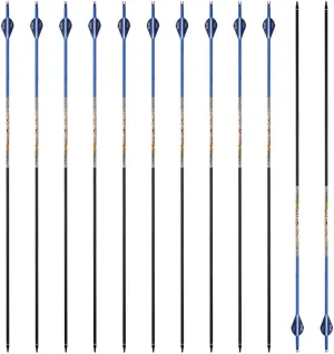 30/32" Inch ST0.006 Hunting Arrows for Compound & Recurve Bow,100% Carbon Archery Target Arrows with Removable Tips for Accurate Hunters & Bowhunters (Pack of 12)