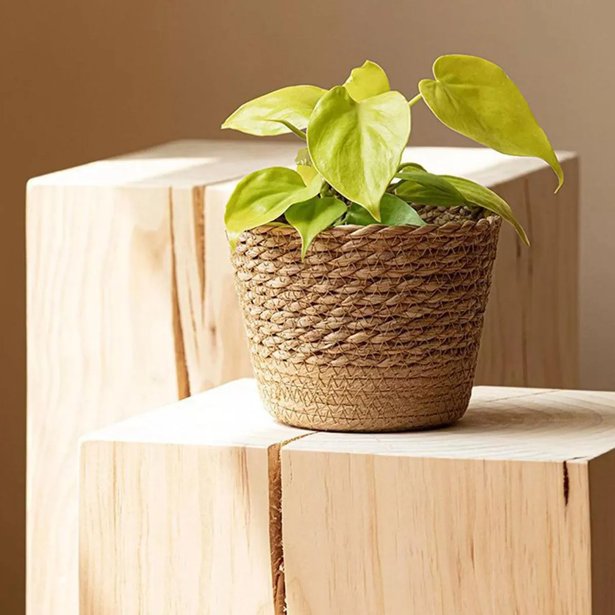 3pcs Natural Woven Basket Planters Garden Flower Pots for Home Living Decor