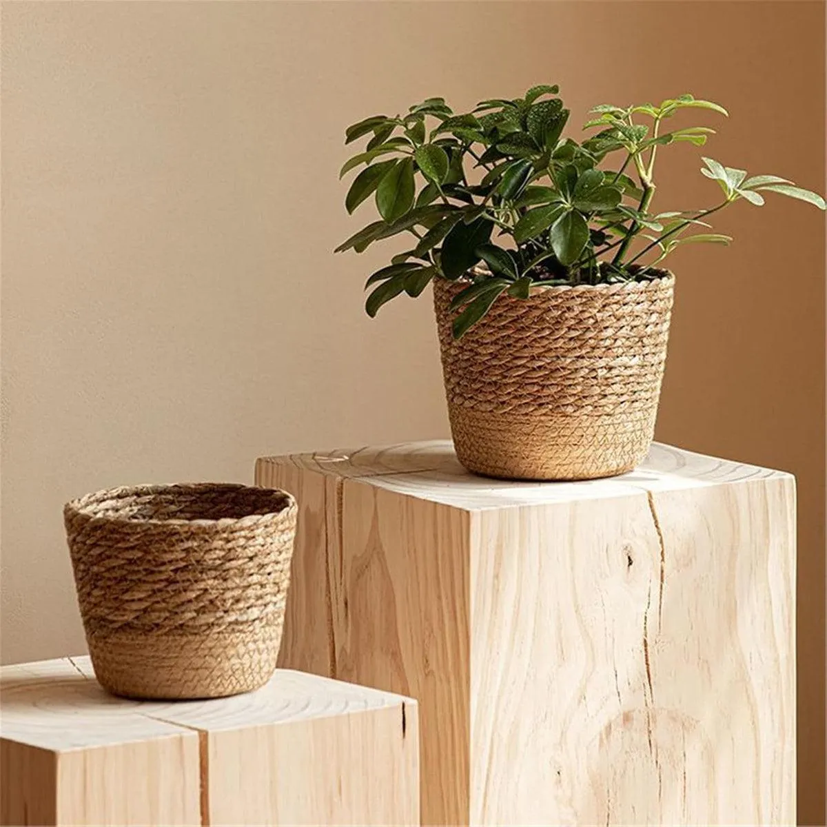 3pcs Natural Woven Basket Planters Garden Flower Pots for Home Living Decor