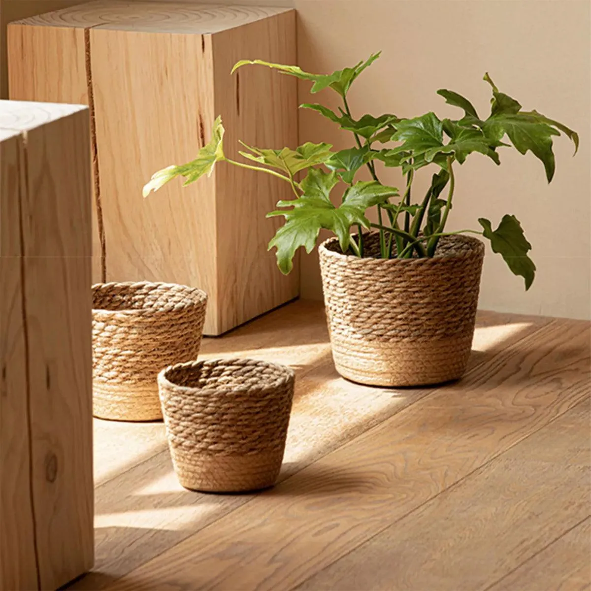 3pcs Natural Woven Basket Planters Garden Flower Pots for Home Living Decor