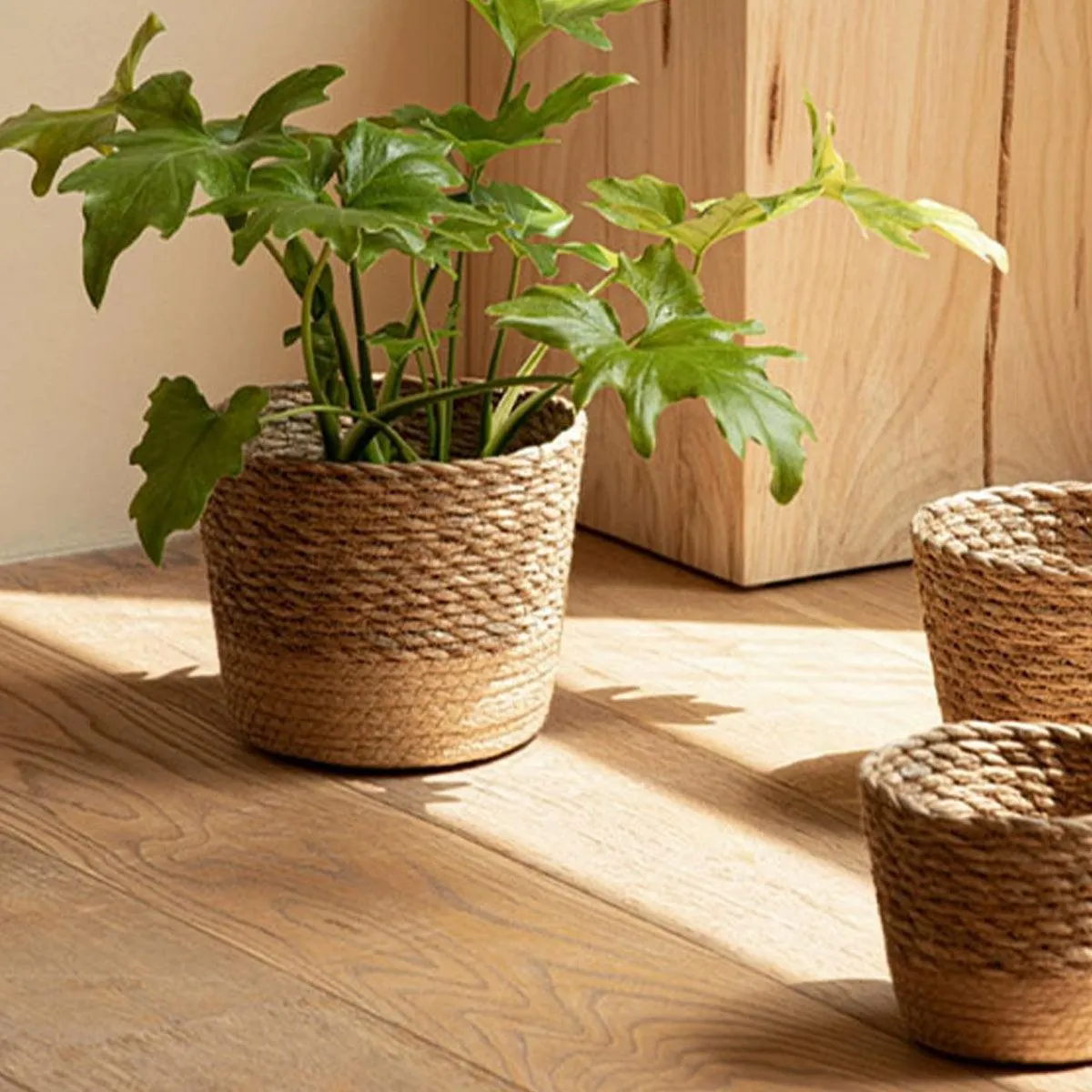 3pcs Natural Woven Basket Planters Garden Flower Pots for Home Living Decor