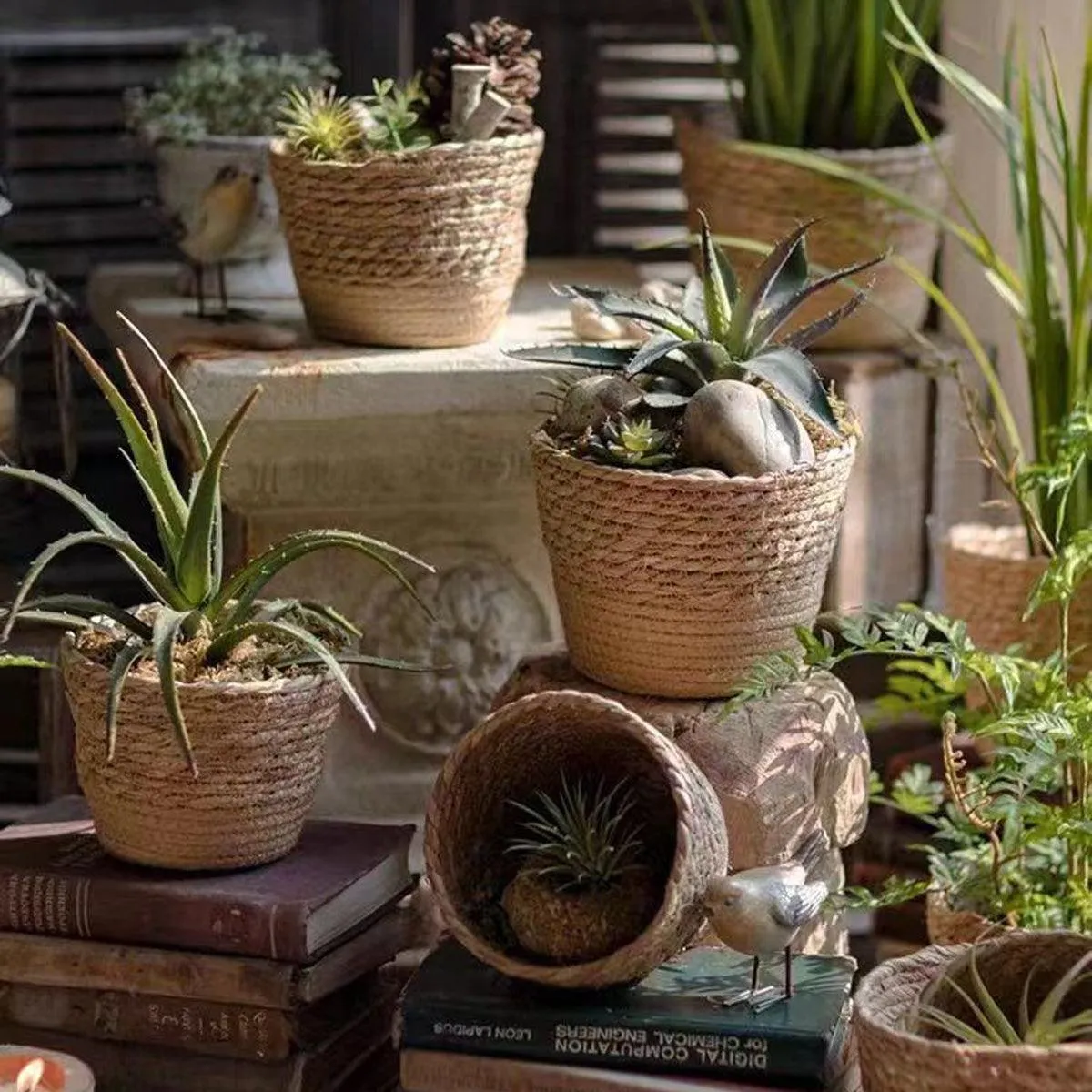 3pcs Natural Woven Basket Planters Garden Flower Pots for Home Living Decor