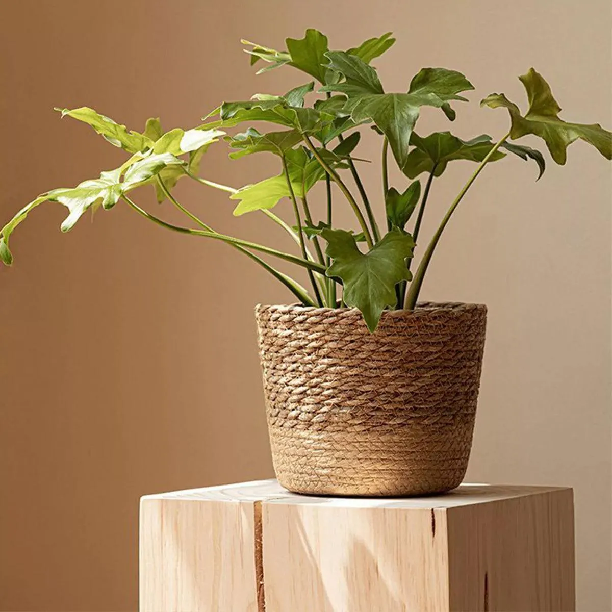 3pcs Natural Woven Basket Planters Garden Flower Pots for Home Living Decor