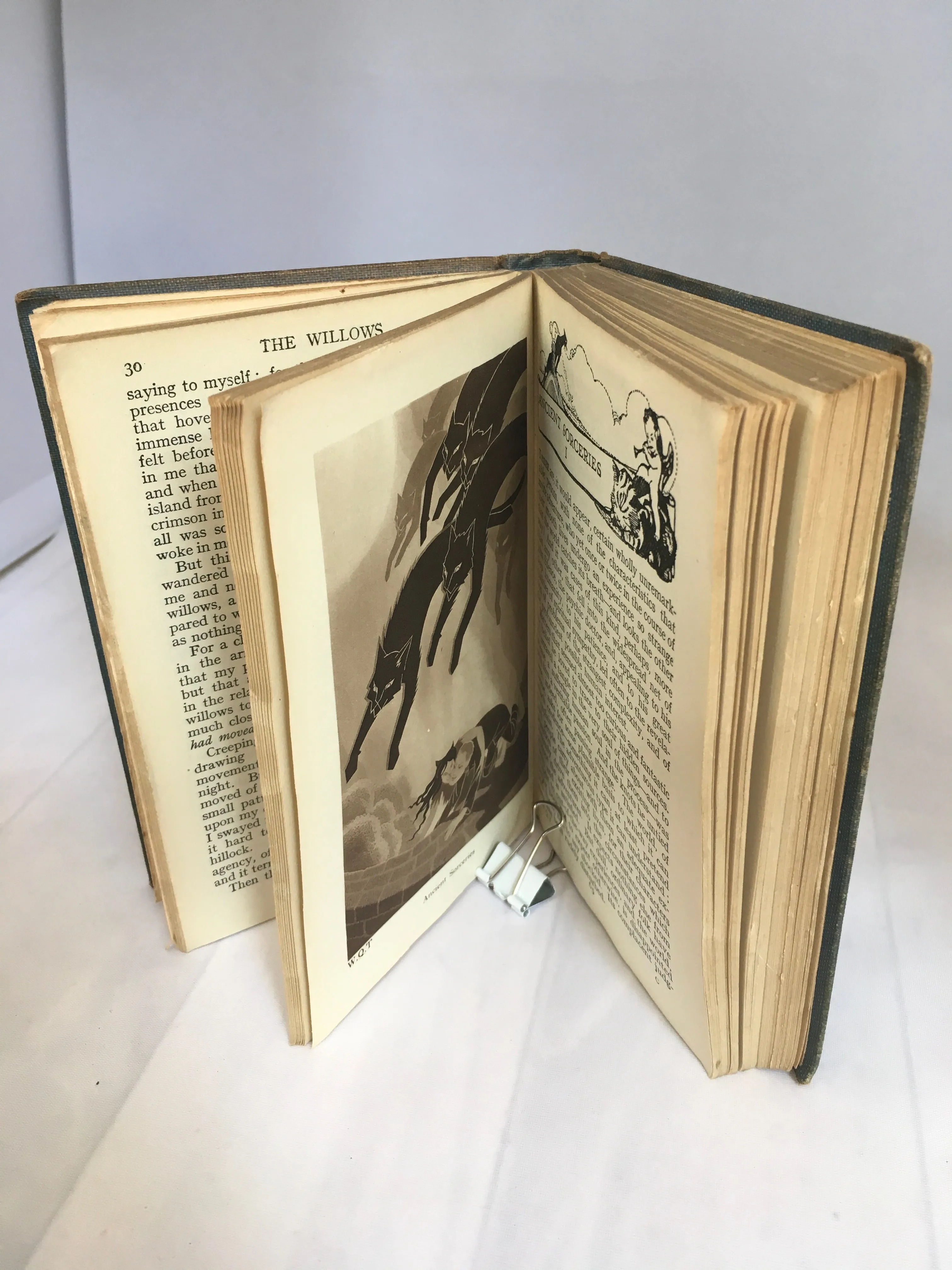Algernon Blackwood - The Willows and other Queer Tales, Collins Illustrated School Classics 186, no date