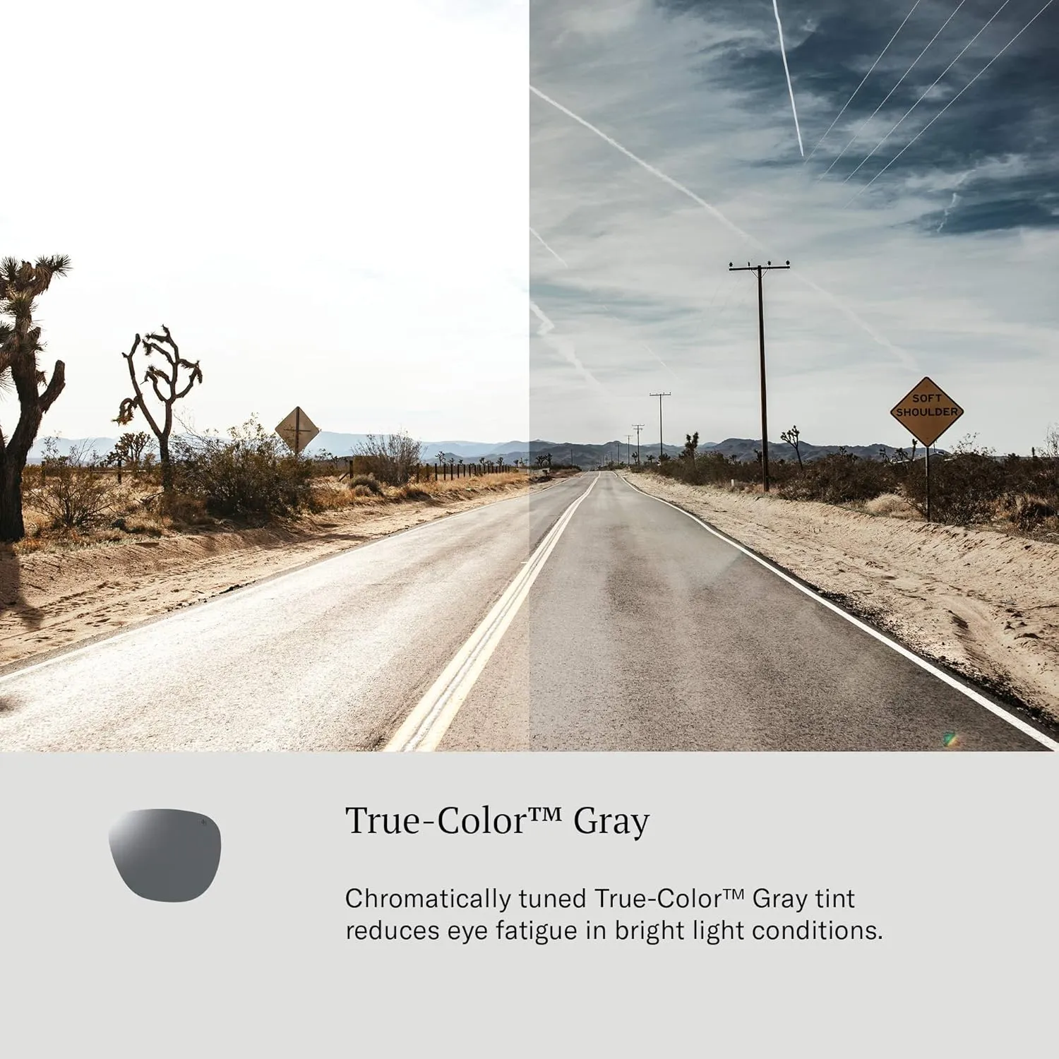 AO Geoffrey Sunglasses - AOLite Nylon Lenses