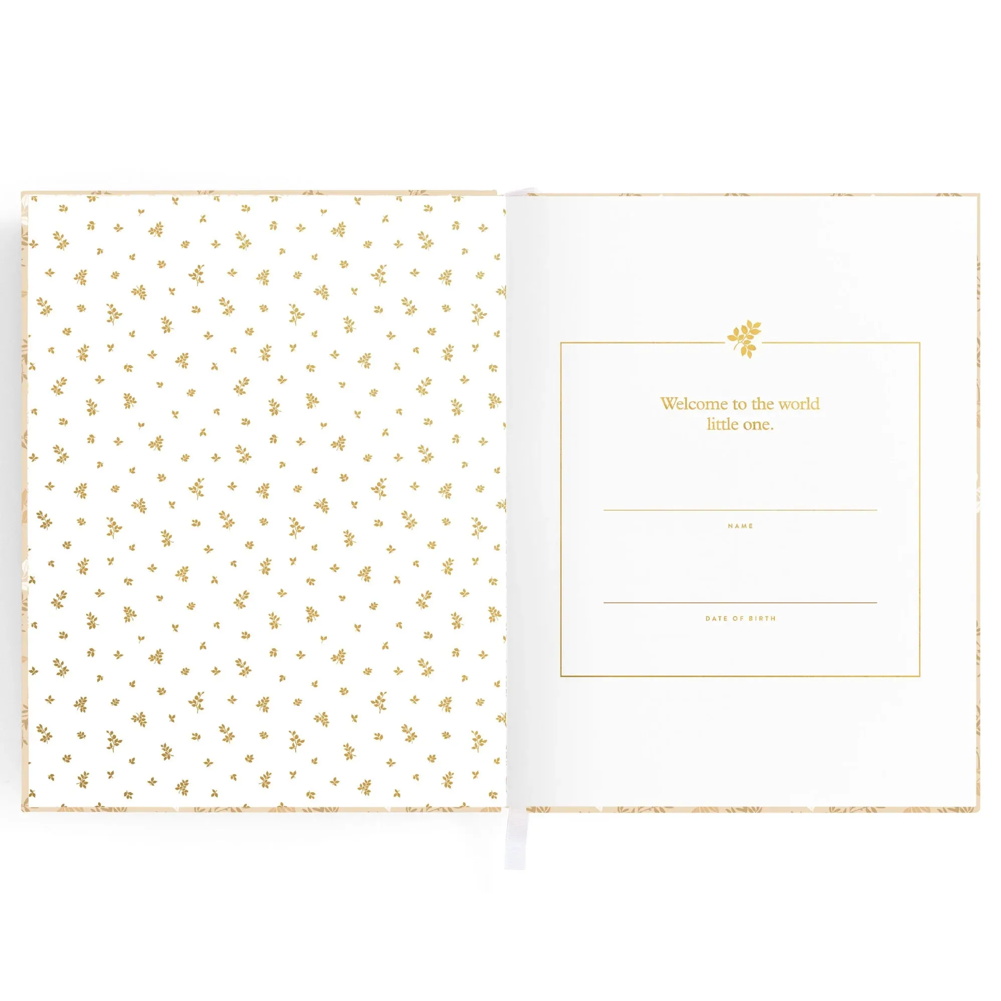 Baby Book Cedarwood