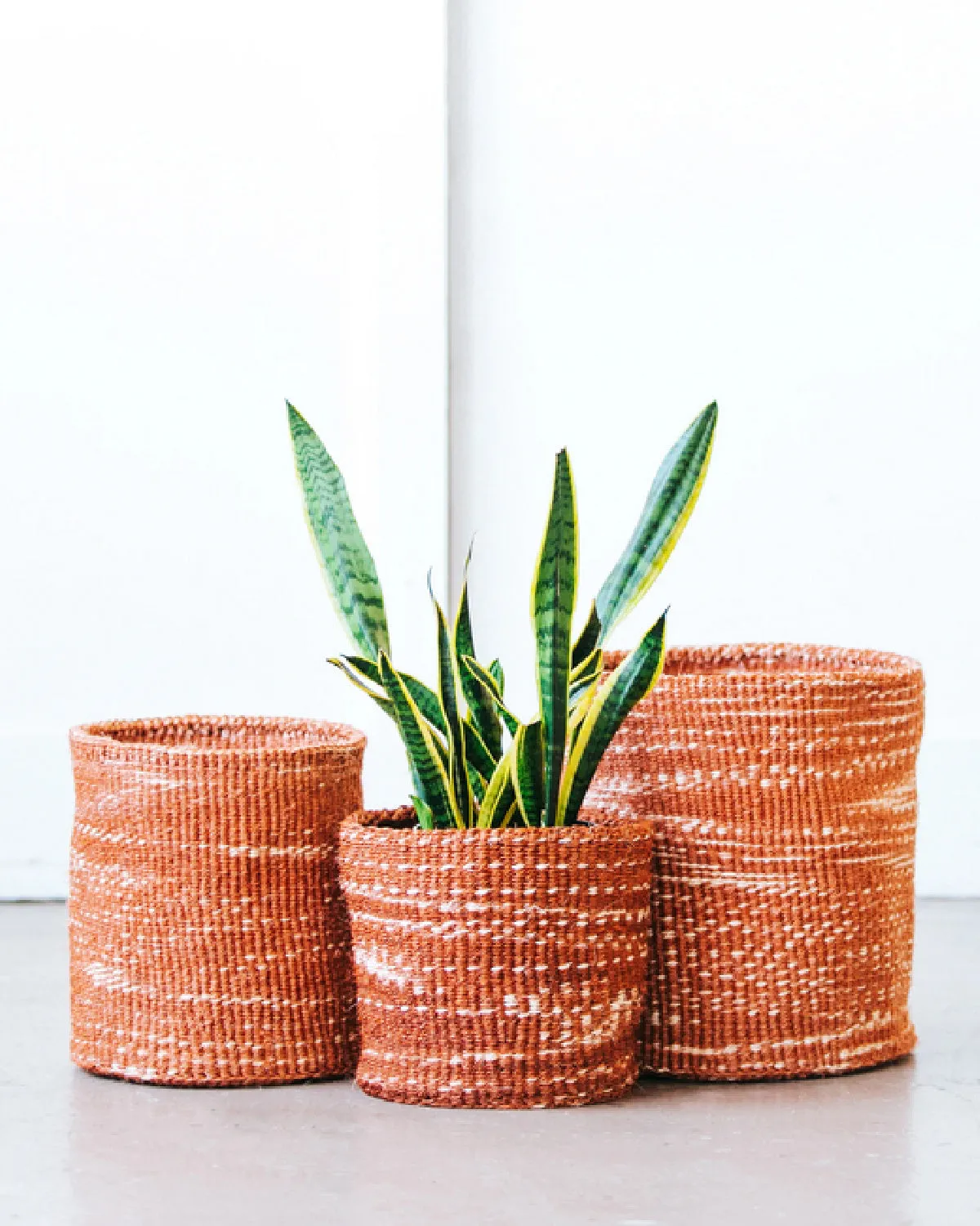 Constellation Storage Basket :: Small