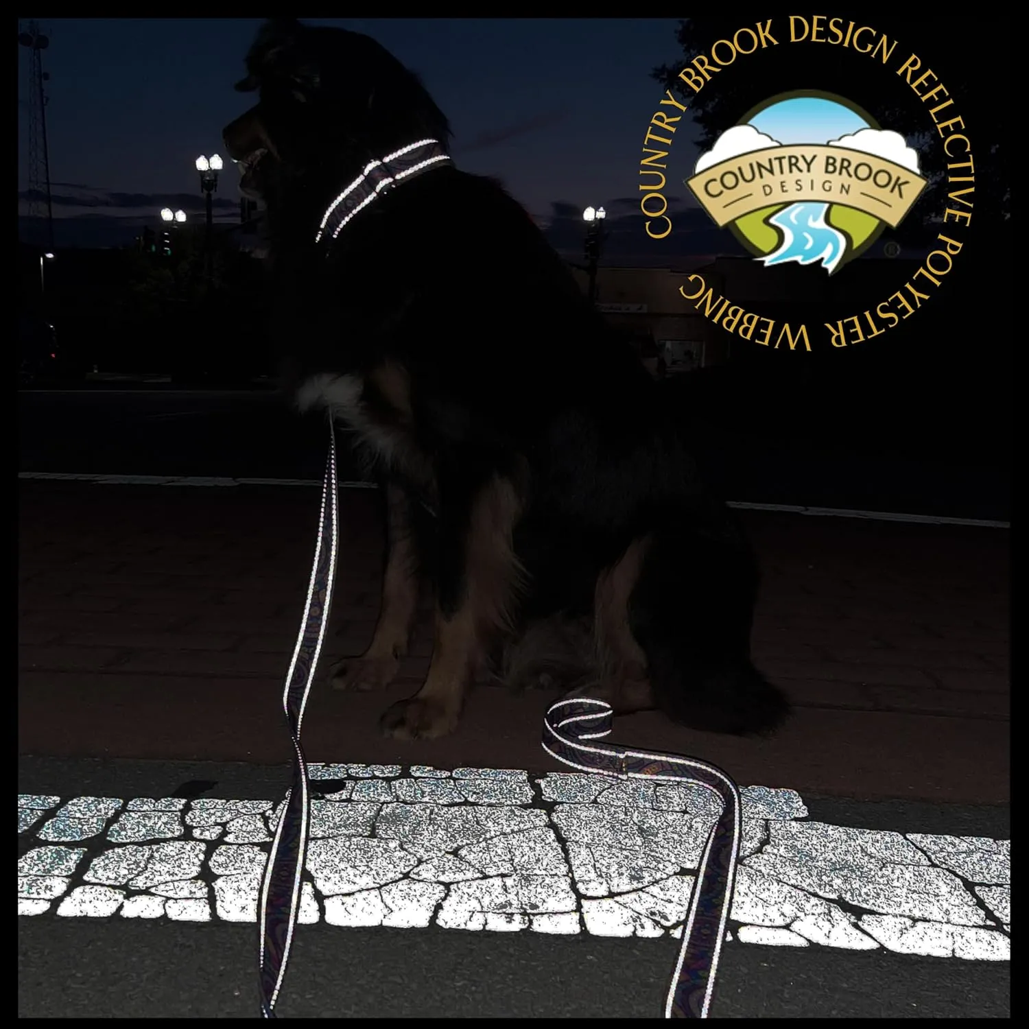 Country Brook Design - Flying Free Reflective Polyester Webbing
