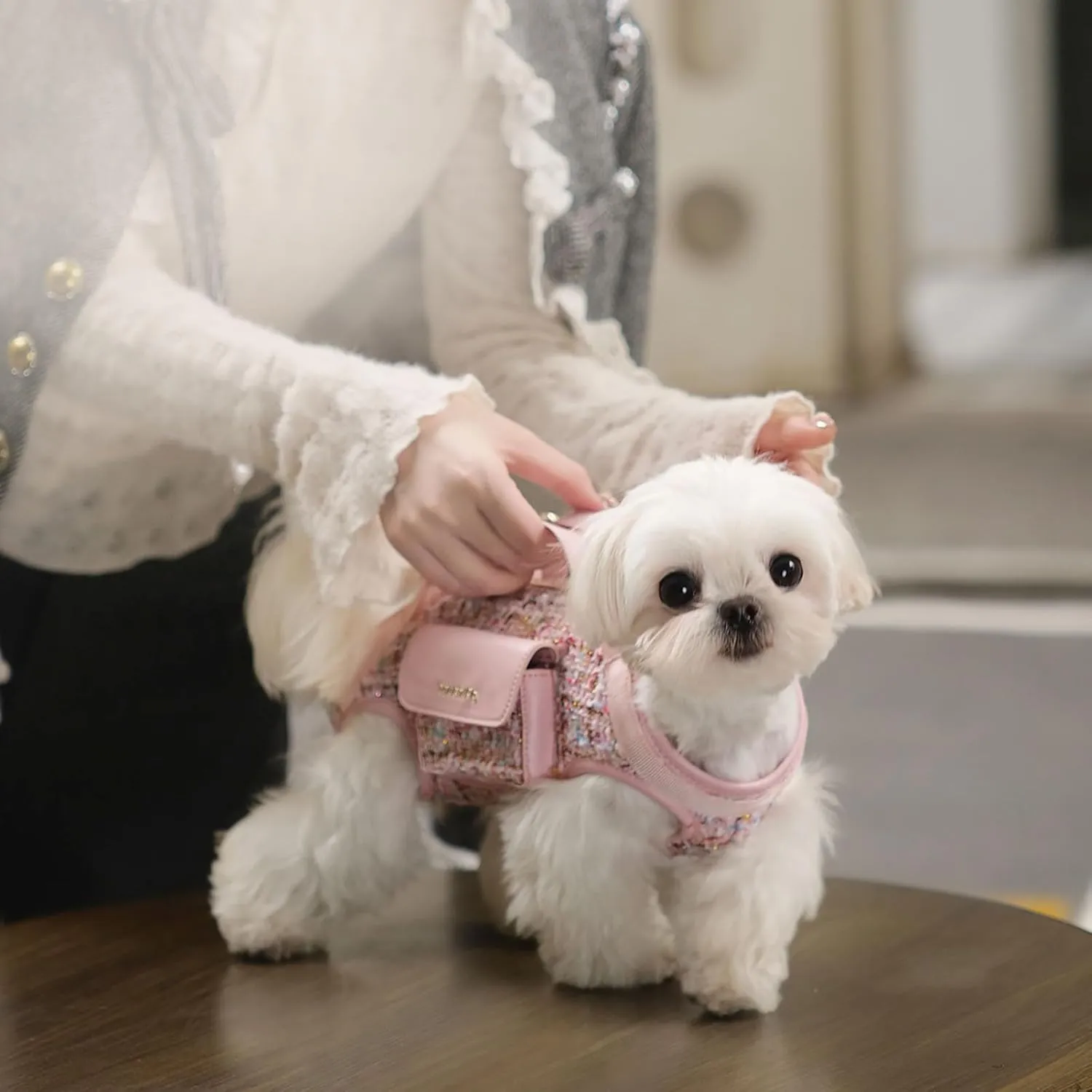 Dog Lift Harness Dog Carrier- with Soft Cushion Belt Design for Dogs/Lightweight Breathable Multi Functional, Can be Used as a Handbag (Pink, XS)