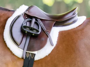 Equifit Essential Hunter Pad