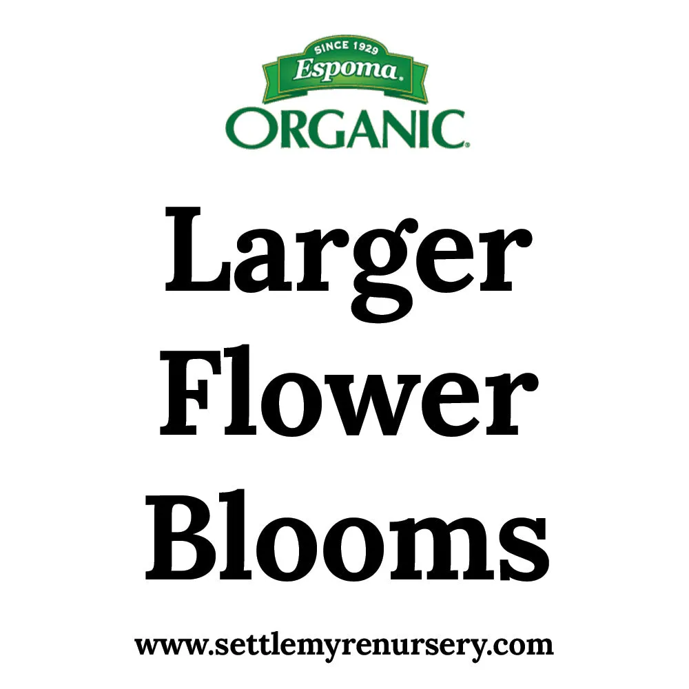 Flower-tone Organic Fertilizer