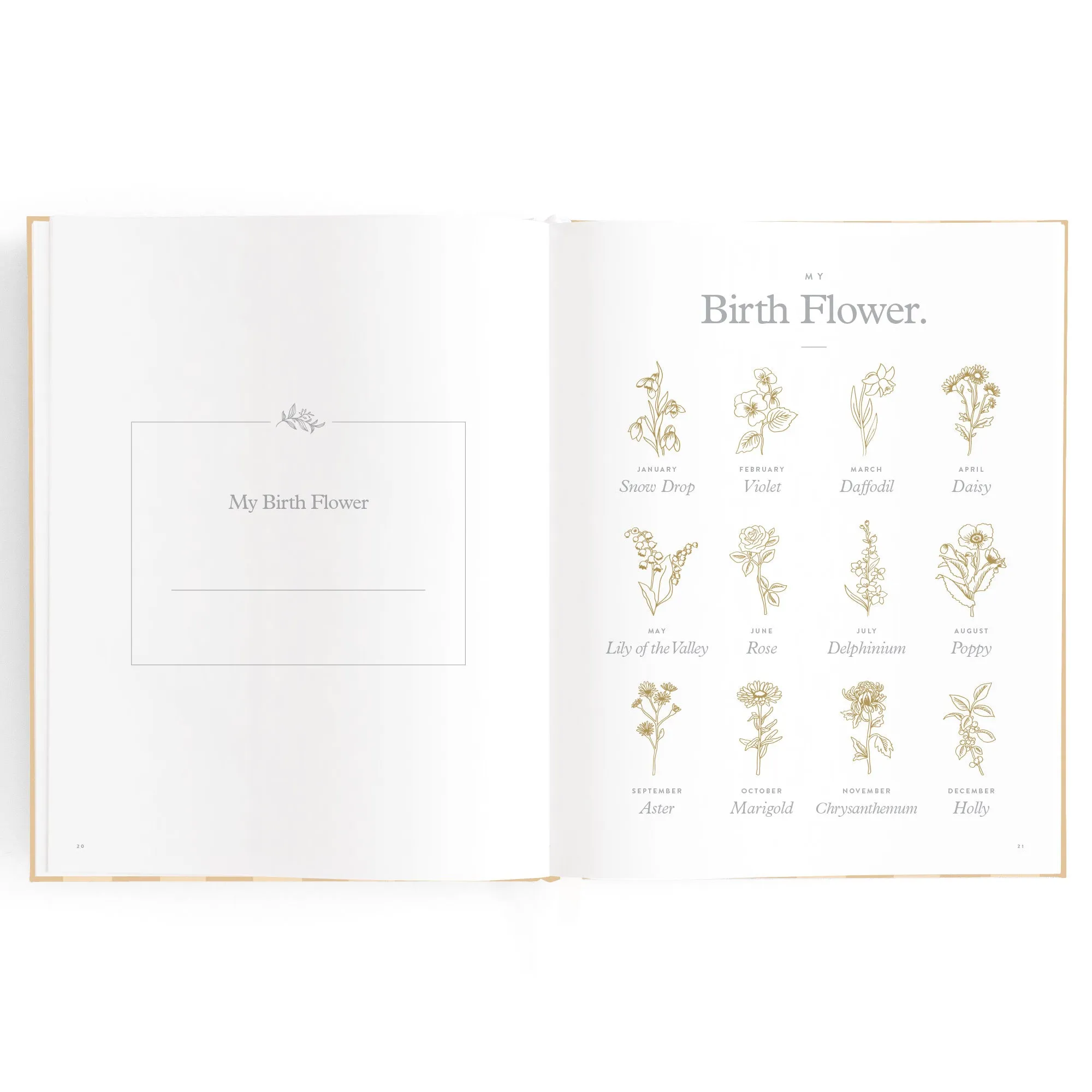 Fox & Fallow Baby Book - Coffee Stripe