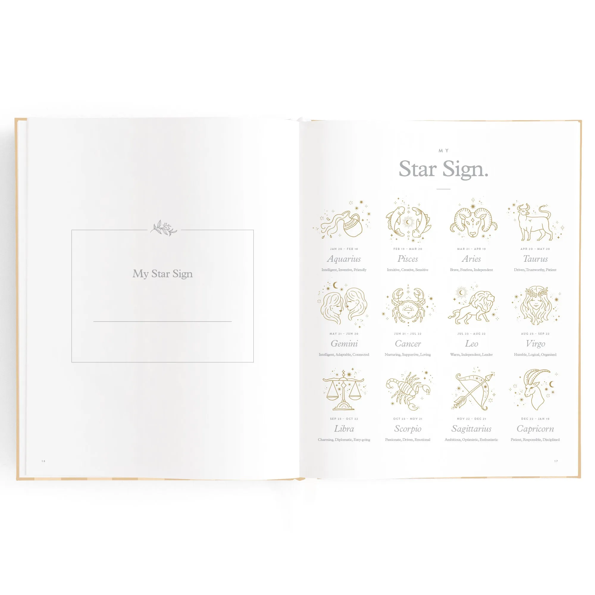 Fox & Fallow Baby Book - Coffee Stripe