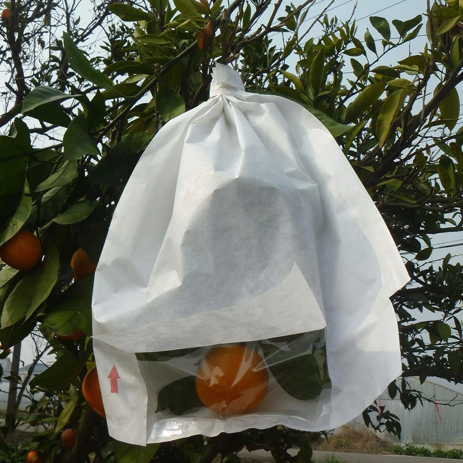 Fruit Protection Bags 50pcs Window White Protection Cover Bags 12.4X13.9inch, Fruit Bags for Fruit Trees, Orchard, Trees, Frost, Plants (12.4x13.9)