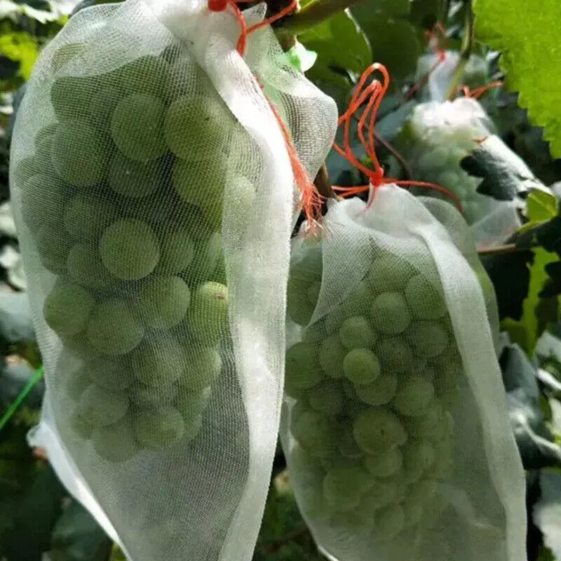 Fruit Vegetable Protection Mesh Bags 10-50PCS
