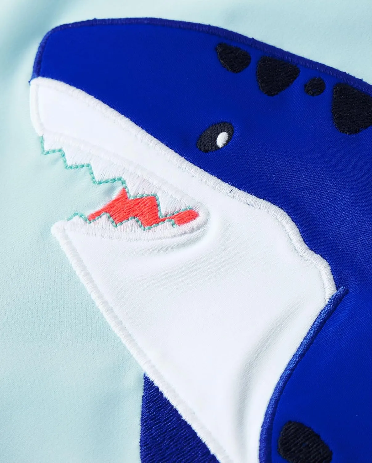 Gymboree Boys' and Toddler Embroidered Long Sleeve Rashguard