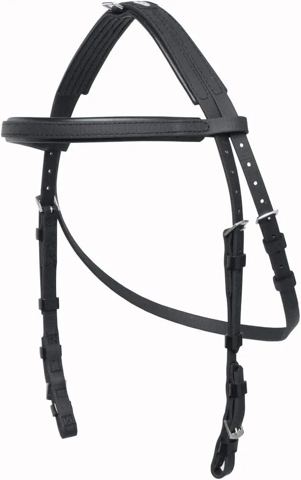 Hackamore Bridle