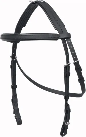 Hackamore Bridle