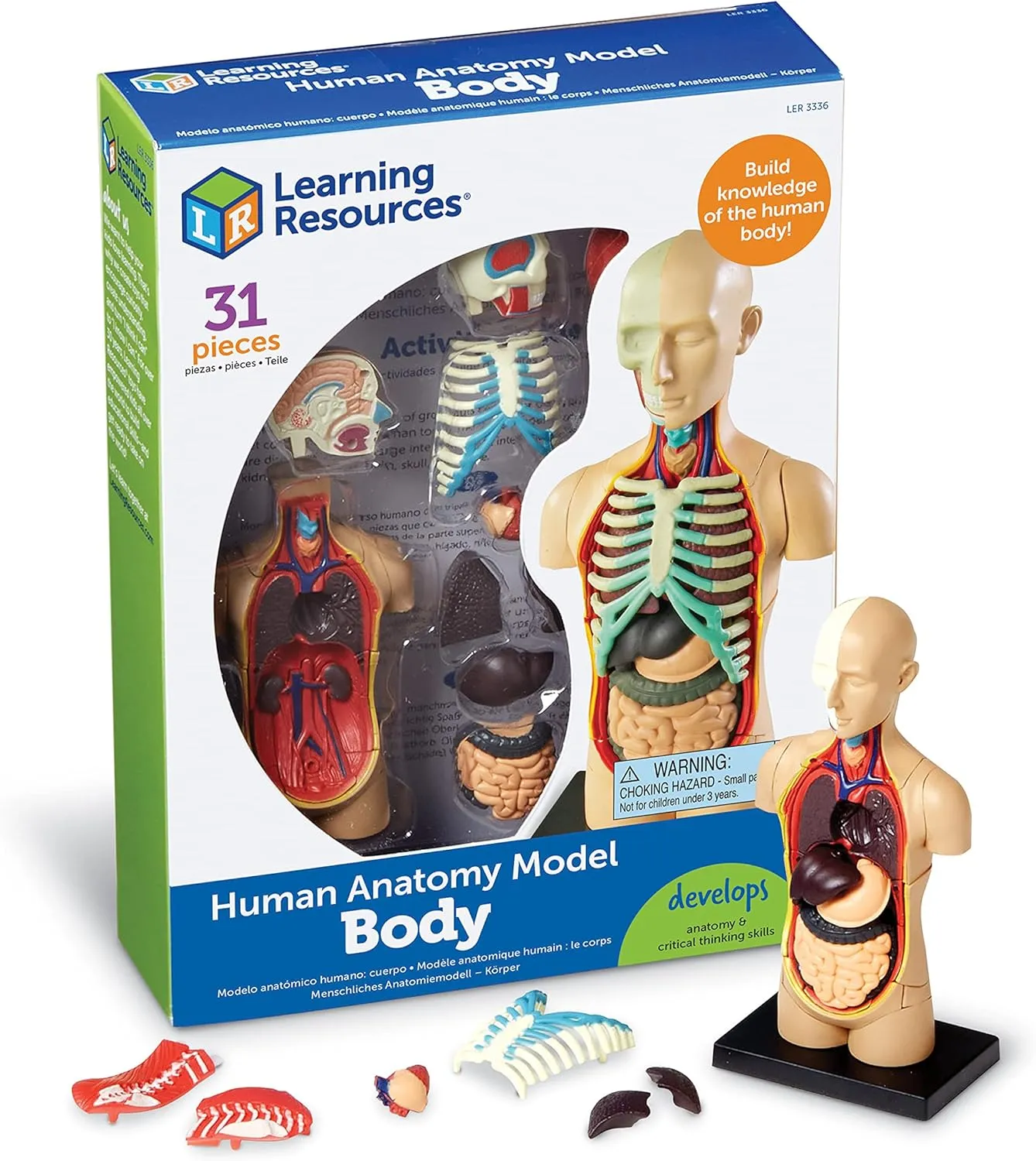 Learning Resources Human Body Model, 31 Pieces, Grades 3 , Ages 8 , Science Classroom Demonstration Tools, Realistic Human Anatomy Display