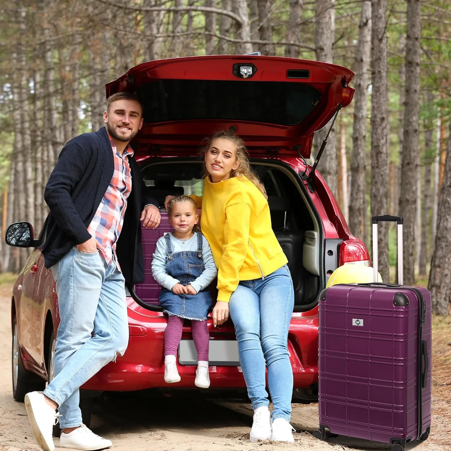 Merax Luggage Women with TSA Lock Spinner Wheel 4 Pc Suitcase Sets, Purple(Grid-Like), 12/20/24/28 Inch