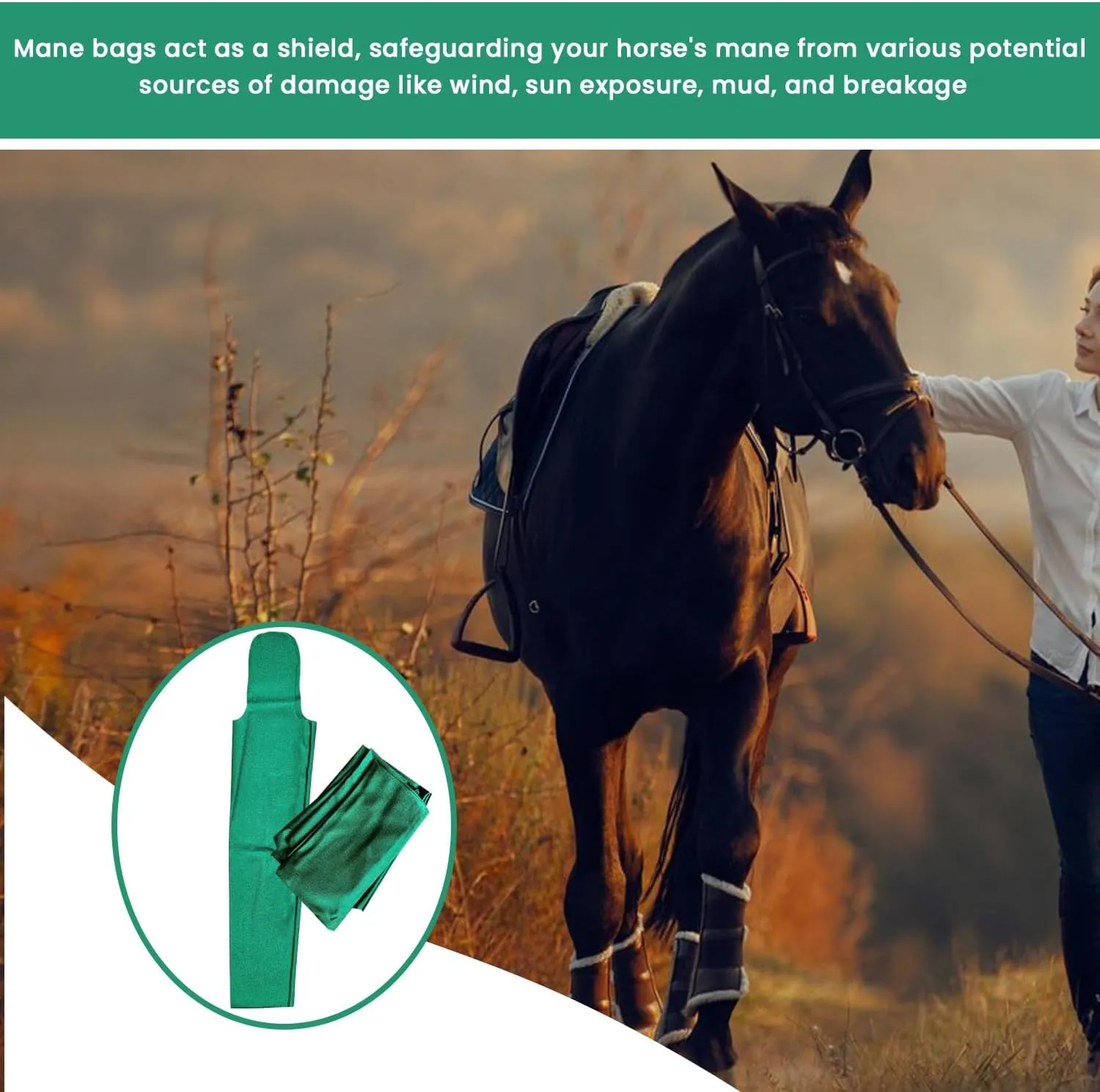 Ranch Hand Horse Mane Bags | 6 Pack | Horse Tack/Supplies | Protect Horse's Mane from Wind, Sun, Mud, Preventing Tangles, Rubbing Out, and Breakage | Handmade Mane Care (GREEN)