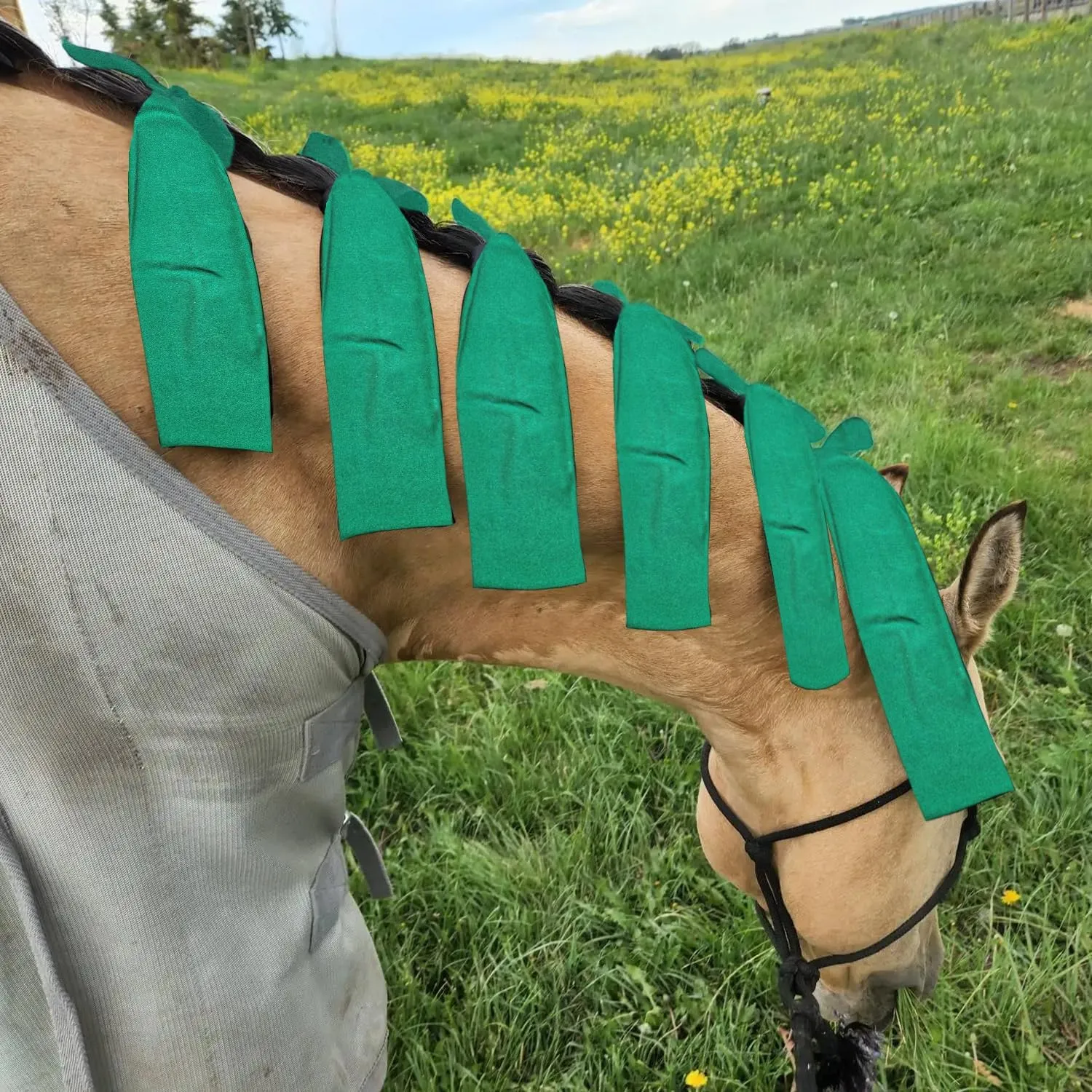 Ranch Hand Horse Mane Bags | 6 Pack | Horse Tack/Supplies | Protect Horse's Mane from Wind, Sun, Mud, Preventing Tangles, Rubbing Out, and Breakage | Handmade Mane Care (GREEN)