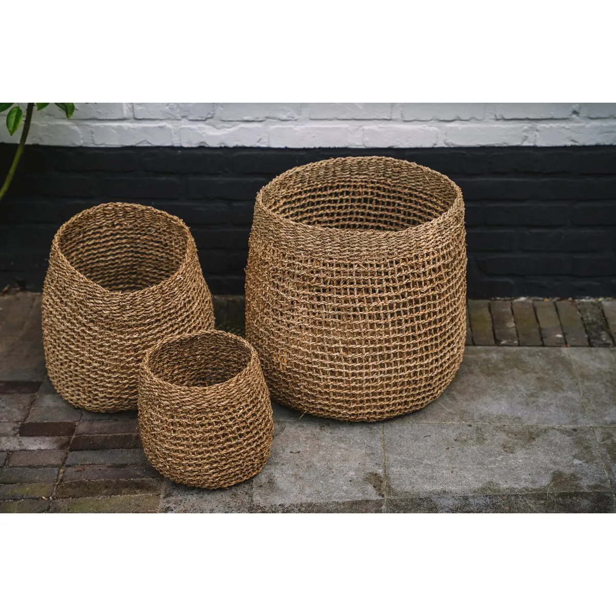 Rootz Lang Co Basket - Storage Basket - Seagrass Woven Basket - Durable & Stylish - 37cm x 35cm x 37cm
