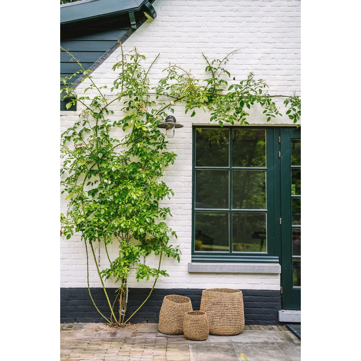 Rootz Lang Co Basket - Storage Basket - Seagrass Woven Basket - Durable & Stylish - 37cm x 35cm x 37cm