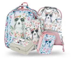 School set Shelly Raccoon II