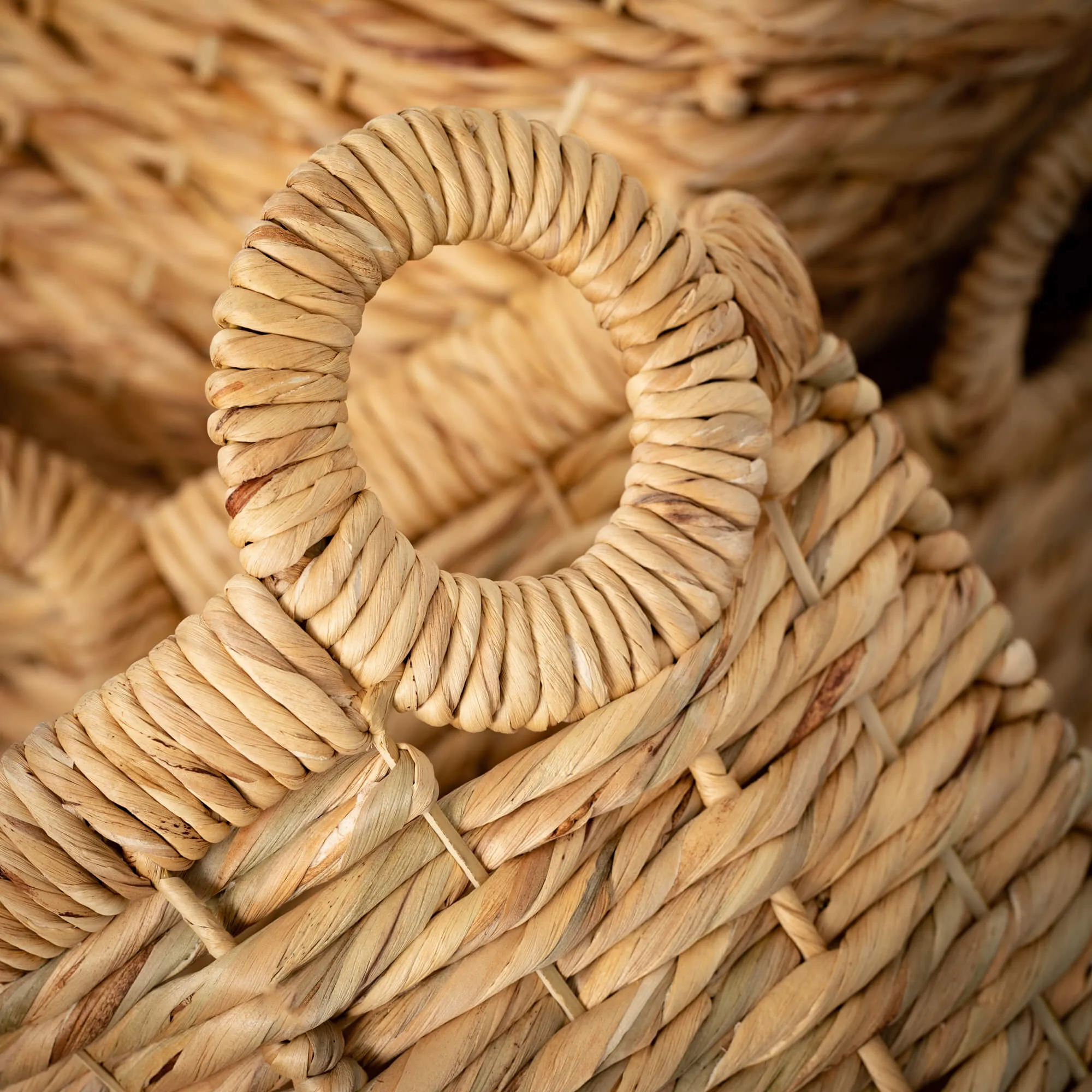 Seagrass Handled Basket Set 4