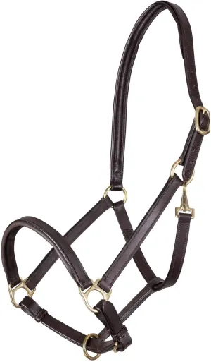 Shires Ragley Lined Leather Headcollar: Black: Cob