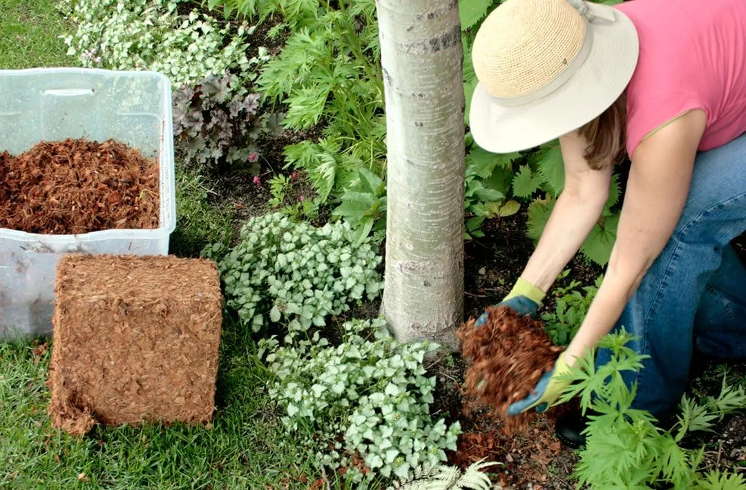 SuperMoss (23261) Coco Mulch, 200 in3, Natural Brown
