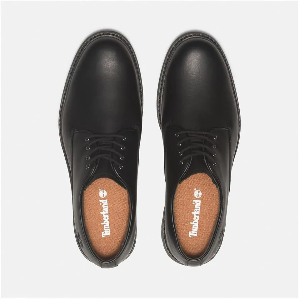 Timberland Mens Stormbucks Leather Shoes