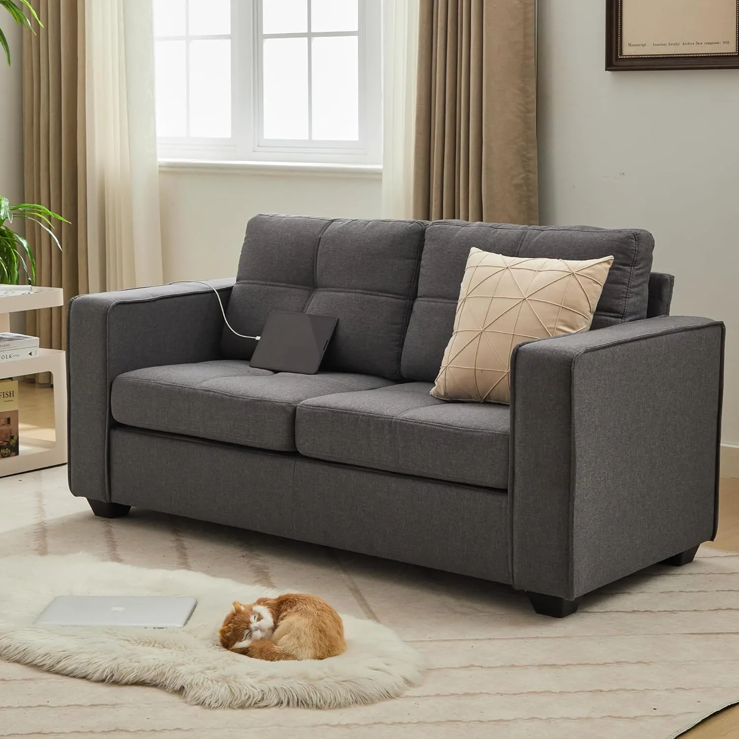 TYBOATLE 65" W Morden Linen Fabric Sofa Couch w/ 2 USB Charging Ports and Wide Arms, Mid-Century Comfy Upholstered Loveseat Couches for Living Room, Bedroom, Office, Easy Assembly (Dark Grey)