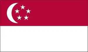 Valley Forge Flag 3-Foot by 5-Foot Nylon Singapore Flag