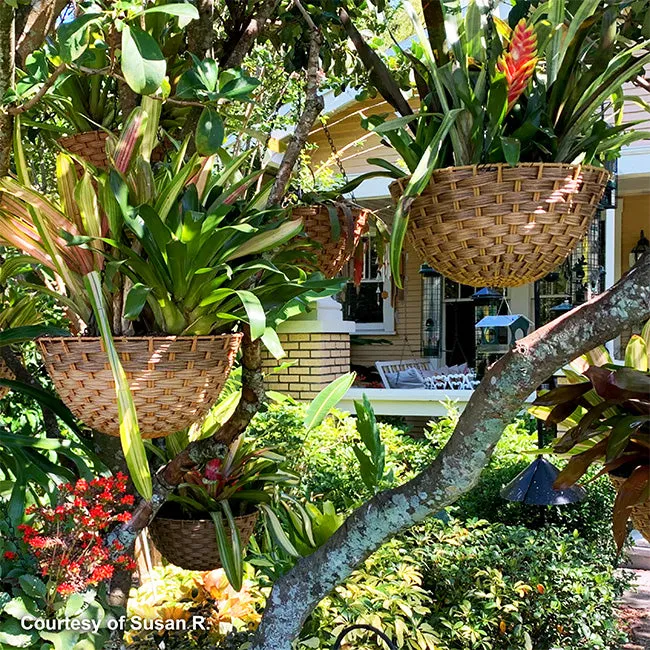 Woven Resin Hanging Baskets with Brackets by Prime Retreat